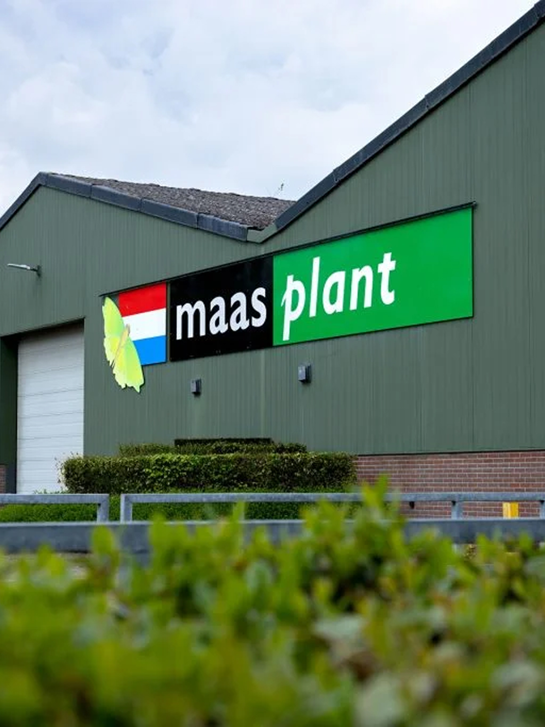 Maas Plant